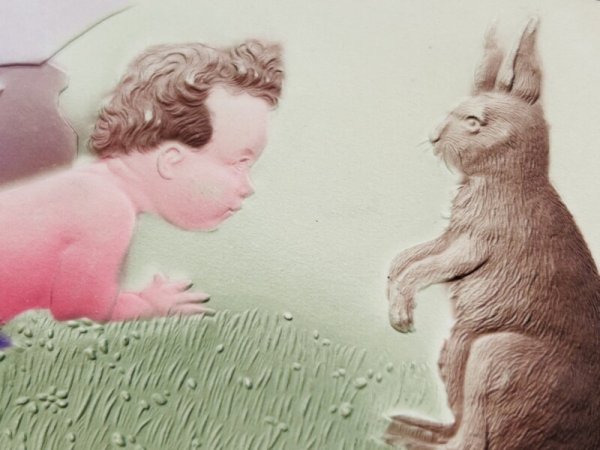 毛の一本一本まで細かなエンボスです。