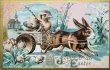 画像1: Postcard　アンティークポストカード　イースター 　ウサギ車とヒヨコの御者　うさぎ　（未使用） (1)