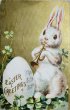 画像1: Postcard　アンティークポストカード　イースター 　ラッパ（トランペット）を吹くウサギさん　うさぎ　　Ellen Clapsaddle (1)