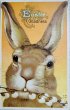 画像1: Postcard　アンティークポストカード　イースター 　ウサギさんとネコヤナギ　うさぎ (1)