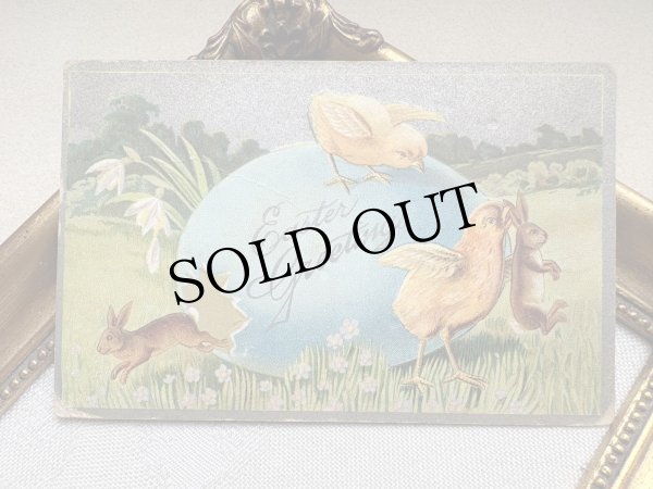 画像2: Postcard 　アンティークポストカード   イースター　ヒヨコにつまみ出されるウサギ　うさぎ　卵 (2)