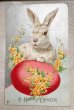 画像1: Postcard 　アンティークポストカード   イースター　赤い卵とウサギ　うさぎ　兎　（未使用） (1)