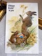 画像2: Postcard 　アンティークポストカード   イースター　卵を運ぶウサギの親子　兎　うさぎ　（未使用） (2)