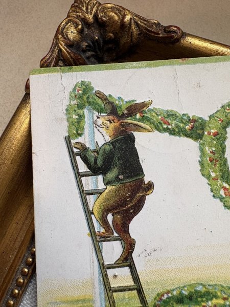 折れや破れなどあり