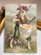 画像2: Postcard 　アンティークポストカード   イースター　卵のドラムを叩くウサギさん　卵　兎　うさぎ (2)