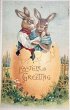 画像1: Postcard 　アンティークポストカード   イースター　大きな卵の中のウサギさん　兎　うさぎ　1910年 (1)