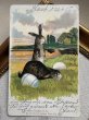 画像2: Postcard 　アンティークポストカード   イースター　ウサギさんと卵　兎　うさぎ　ドイツ1905年 (2)