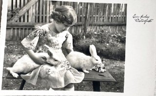 Snowdrop Postcards アンティークポストカード専門店 < Rabbit >