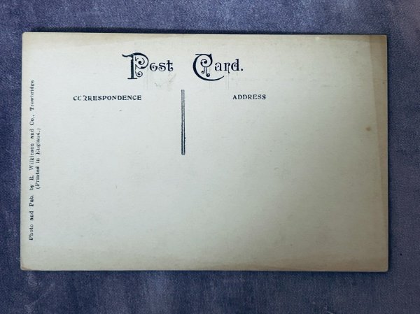 画像3: Postcard  アンティークポストカード　羊とホワイトホース　Westbury　ウエストブリー　イギリス　（未使用） (3)