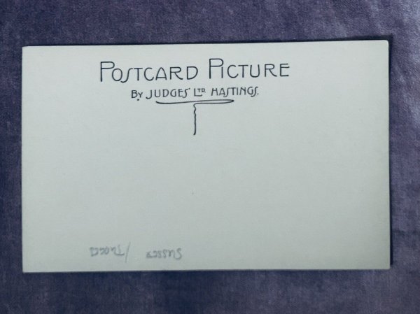 画像3: Postcard  アンティークポストカード　道を歩く羊たち　Westham Street Sussex イギリス　写真（未使用） (3)