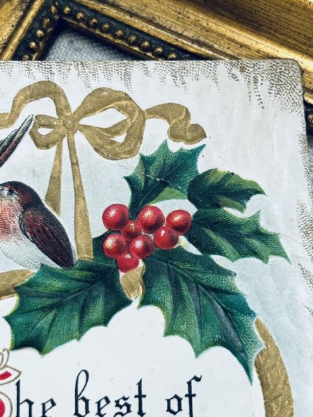 画像3: Postcard アンティークポストカード クリスマス 小鳥 ロビン ホーリー リボン (3)