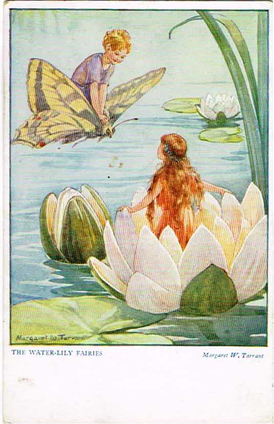 Snowdrop Postcards アンティークポストカード専門店 M Tarrant