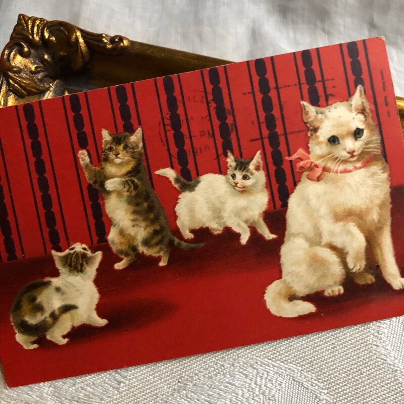 今年も話題の 猫のアンチック・ポストカード ④ - 通販 - perutours.com.pe