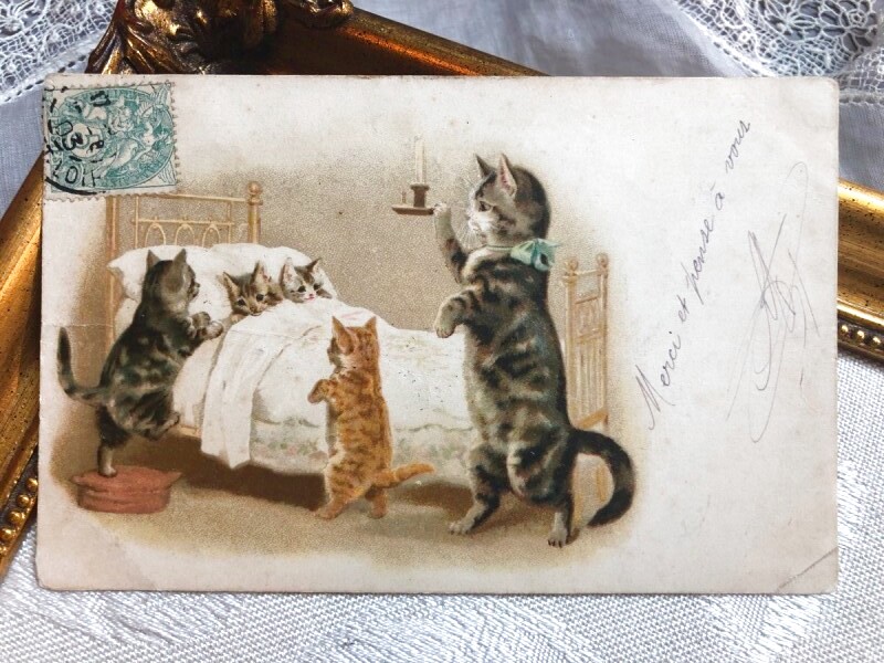 Postcard アンティークポストカード　おやすみ前の猫さん　猫　Helena Maguire　フランス1903年