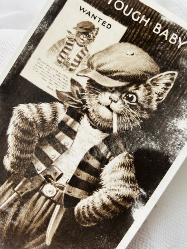 Postcard　アンティークポストカード　ギャング猫　指名手配犯　Bestall 　イギリス(未使用)
